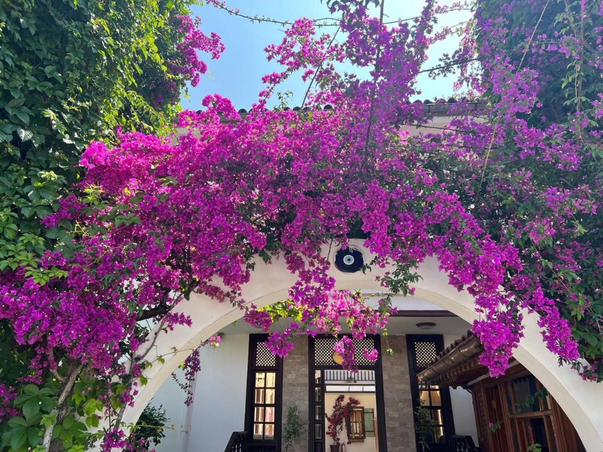 Palma Rosa Hotel Çamyuva Eksteriør bilde